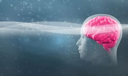 Beynin Gizli Çalışması: Kuluçka Etkisi Nedir?