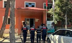 Arılarını Sakinleştirmek İsterken Ormanı Ateşe Verdi! 80 Hektar Kül Oldu