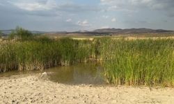 Afyonkarahisar'da Serinlemek İstediler, Canlarından Oldular