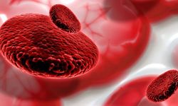 Anemi Nedir? Belirtileri ve Tedavi Yöntemleri