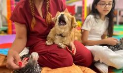 Ankara’da Görme Engelli Köpek Yeni Ailesine Kavuştu