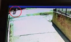 Ankara'da Hafriyat Kamyonunun Altında Kalan 2 Kişi Öldü