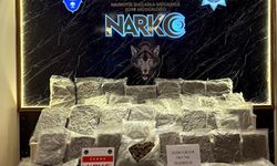 Bulgaristan’dan Gelen Araçta 26 Kilo Skunk Ele Geçirildi