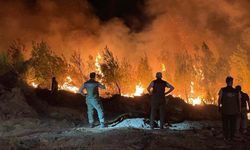 Çanakkale’deki Yangında 3 Köy Tahliye Edildi, Müdahale Devam Ediyor