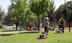 Çankaya’daki Parklarda Temizlik Çalışması: Otlar ve Çimler Biçiliyor