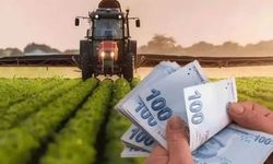 Çiftçilere Tarımsal Destekleme Ödemesi Hesaplara Yatıyor