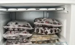 Derin Dondurucu Kokusu Nasıl Giderilir? En Etkili Yöntemler