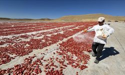 Elazığ’ın Verimli Topraklarında Şanlıurfalı Girişimcilerin Başarısı