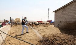 Etimesgut’tan Fevziye Köyü’nde Kapsamlı İlaçlama Çalışması