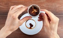 Falda Balık Görmek, Balık Tutmak, Yunus Balığı ve Balık Kuyruğu Ne Anlama Gelir?