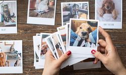 Telefondan Fotoğraf Çıkartma Nasıl Yapılır?