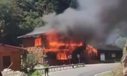 Giresun Dereli’de Yangın Paniği: Restoran ile Kafe Küle Döndü