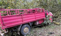 Giresun’da Kamyonet Şarampole Uçtu, 4 İşçi Öldü