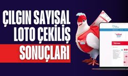 30 Ağustos 2025 Milli Piyango Online Çılgın Sayısal Loto sonuçları açıklandı! Büyük ikramiye artık 134 milyon TL!