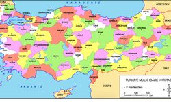 Türkiye'de en uzun yaşayan iller açıklandı: İşte ilk 5