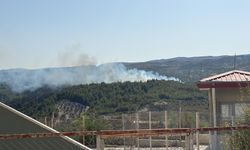 Hatay Yayladağı’nda Çıkan Yangın Ekiplerce Söndürüldü