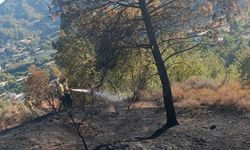 Hatay'da Orman Yangını Kısa Sürede Kontrol Altına Alındı
