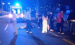 İzmir’de Korkunç Kaza: Domuz Sürüsüne Çarpan Adam Öldü
