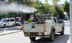 Keçiören’de İlaçlama Çalışmaları Hız Kesmiyor