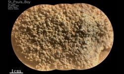 Mars’ta İlginç Küreler Keşfedildi: Volkan mı Çarpışma mı?