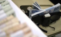 Bankalarda 732 Milyon Lira Unutuldu: TMSF’ye Aktarıldı