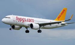 Pegasus Uçağı Leylek Sürüsüne Girdi, Acil İniş Yaptı
