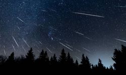 Perseid Meteor Yağmuru Burçları Nasıl Etkileyecek?