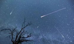 Perseid Meteor Yağmuru Mamak Lavanta Bahçesi’nden İzlenecek!
