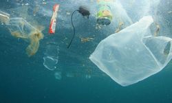 Plastik Kirliliğine Karşı Yeni Yol Haritası Açıklandı