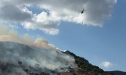 Şarköy’de Korkutan Yangın: Alevler Ormana Sıçradı!