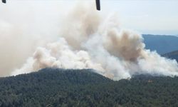 Sinop Durağan’da Orman Yangını Alarmı