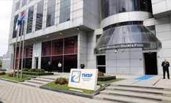 TMSF, RHG Enertürk Enerji’yi Satışa Çıkardı