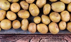 Yenimahalle’de Üreticiden Tüketiciye Patates Desteği