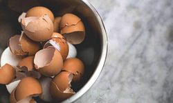 Yumurta Kabuğunun Faydaları Nelerdir, Nasıl Tüketilir?