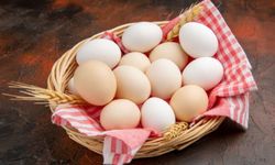 Yumurtaların Taze Olup Olmadığı Nasıl Anlaşılır?