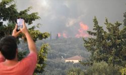 Yunanistan’da Yangın Felaketi: 242 Orman Yangını