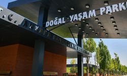 Ankara Yeni Hayvanat Bahçesine Yarın Kavuşuyor