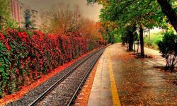 Sonbaharda Ankara Bambaşka! İşte Keşfedenlerin Vazgeçemediği Rotalar