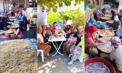 Ankara Nallıhan’da Kadınlar Birlikte Kış Hazırlığı Yapıyor