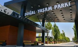 Ankara Yeni Hayvanat Bahçesine Yarın Kavuşuyor