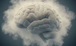 Beyin Sisi (Brain Fog) Nedir? Belirtileri ve Tedavi Yöntemleri