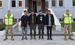 Bitlis’te Kaçak Göçmen Operasyonu: 4 Kişi Yakalandı