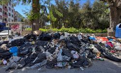 İzmir Buca’da Çöp Sorunu Büyüyor: Vatandaşlar İsyan Etti