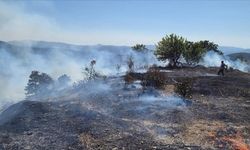 Bursa’da Orman Yangını Kontrol Altına Alınmaya Çalışılıyor