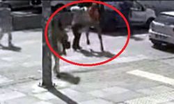 Çankaya'da Yaya Geçidinde Kadını Darbeden Sürücü Tutuklandı