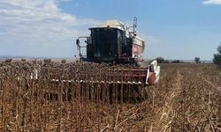 Edirne’de Biçerdöver Kazası: Bir Kişi Hayatını Kaybetti