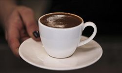 Falda Geyik Görmek, Yaralı Geyik, Geyik Sürüsü, Geyik Kafası ve Boynuzu Ne Anlama Gelir?