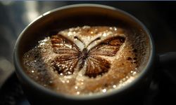 Falda Kelebek, Uçan Kelebek, Siyah ve Beyaz Kelebek Görmek Ne Anlama Gelir?