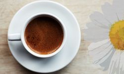 Falda Papatya Görmek, Açan Papatya, Solmuş ve Beyaz Papatya Ne Anlama Gelir?