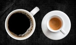 French Press ve Filtre Kahve Arasındaki Farklar Nelerdir?
